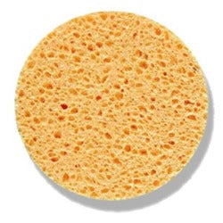 Beaute.ae - Natural Sponge - Buy Online at Beaute.ae